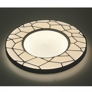 CX226 Ceyling Light