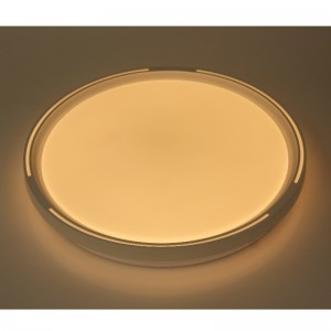 CX325 Ceyling Light
