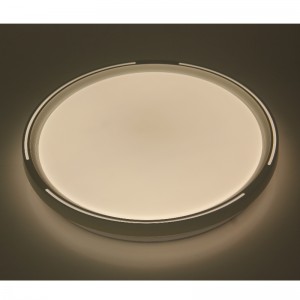 CX325 Ceyling Light