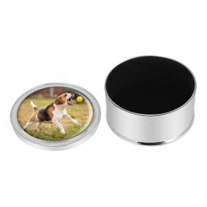 Μεταλλικό δοχείο για στάχτη σκύλου