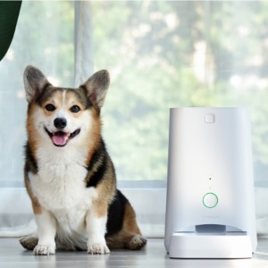 Τροφοδότης PET 6L APP