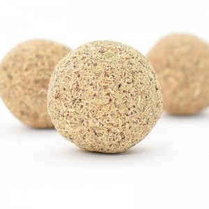 Πολυγωνικό cuspidatum