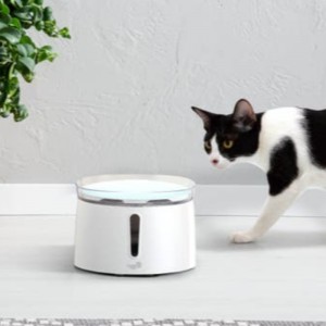 2L αυτόματο διανομέα νερού