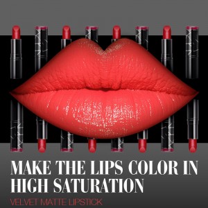 Μακράς διαρκείας κραγιόν ιδιωτικής ετικέτας