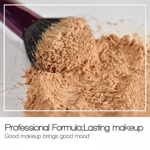 Αδιάβροχο ημιδιαφανές έλεγχο λαδιού ρύθμισης σκόνης