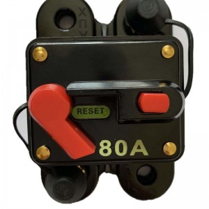 12V 24VDC AUTO BICK BIST Stereo Carc