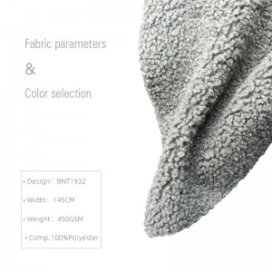 Teddy Fabric BNT1932