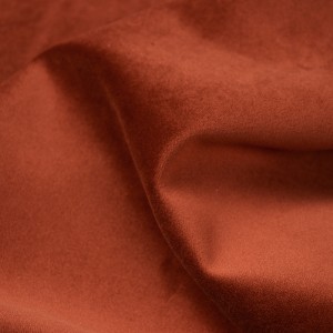 βελούδο bnt1929