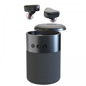 FB-BEB20 TWS Earlphones + Bluetooth Oaker 2 in 1 Combo