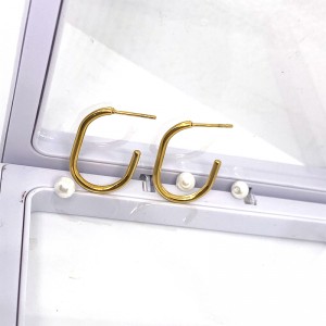 Ανοξείδωτο χάλυβα κενού επίστρωσης 18k/14k σκουλαρίκι