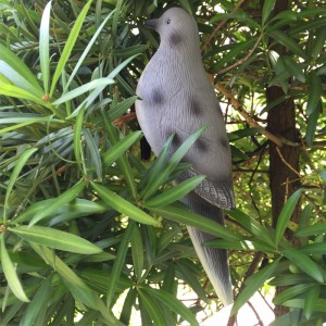 3d προσομοίωση turtledove πλαστικό περιστέρι κυνήγι πτηνών υπαίθρια κυνήγι decoy δολώματα διακοσμητικά διακοσμητικά