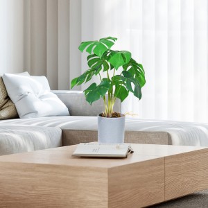 Εργοστάσιο κατευτέδοποι από την καυτή πώληση τεχνητό πράσινο διακοσμητικό με ωραία κοιτάζοντας και πραγματικά άγγιξε αίσθηση