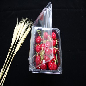 Συσκευασία τροφίμων Clamshell