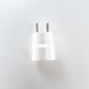 Ηλεκτρικές βύσματα τύπου 1