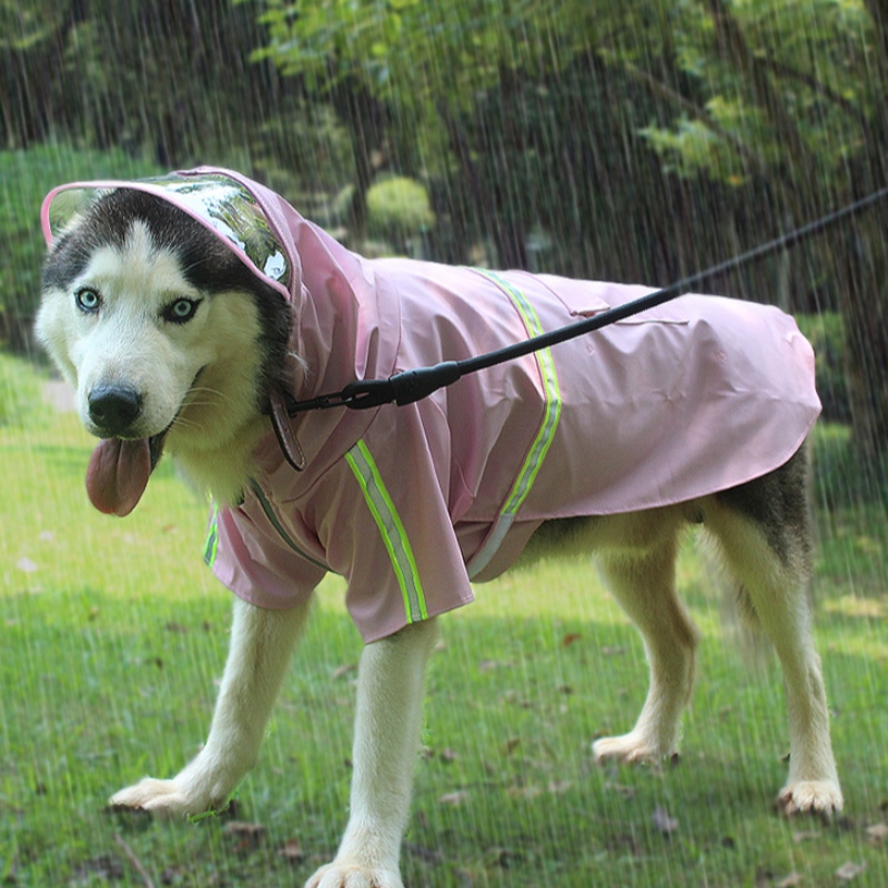 Κίνα εργοστάσιο πηγής 2022 νέα αναβάθμιση σκύλου βροχή παλτό σκύλου αδιάβροχο κοστούμι σκύλου ενδυμασία