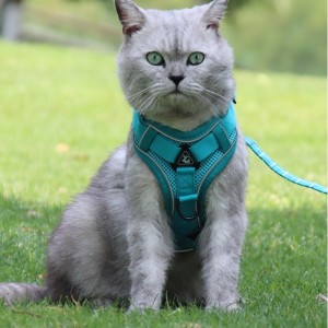 Μόδα PET VEST Τύπος Τύπος Tration Strap Σκύλος Σκύλος Ρυθμιζόμενος αναδιπλούμενο σχοινί έλξης Περπατώντας σκυλί σχοινί κολάρο