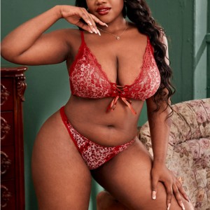 Αντίθετα σετ σουτιέν σετ σέξι εσώρουχα με μπροστινή ισοπαλία σχοινιού