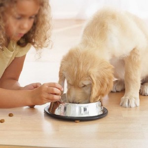 2022 Amazon Hot Sale Sale Chair Mat για προστασία από σκληρό ξύλο διαφανές PP Office Desk Chair Mat Mat