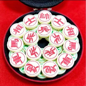 Κινέζικη σκακιού που έθεσε εκπαιδευτικό παιχνίδι αδιάβροχο σκάκι