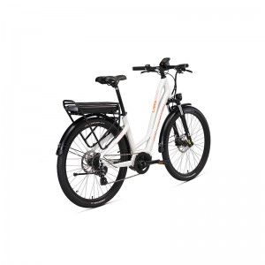 Λιμουζίνα600