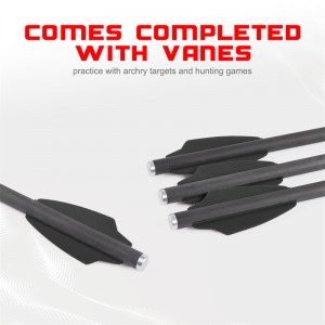 Elongarrow 119612-02 16 εκατοστά βέλους άνθρακα με 2pcs 1.65inches μαύρο πτερύγιο