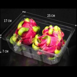 Χωρίς κάλυμμα βαθύ δίσκο 260*180*70 mm HGF-2517H7