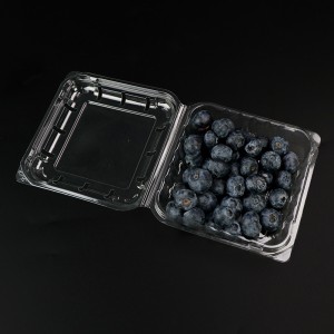Blueberry Box Fruit Box με καπάκι 103*108*42 mm HGF-125B