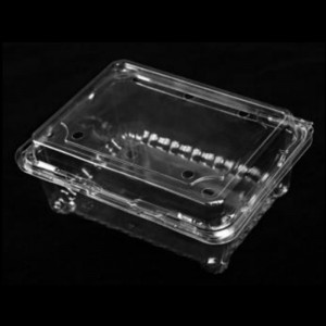 Κουτί φρούτων με καπάκι 175*137*75 mm HGF-500m