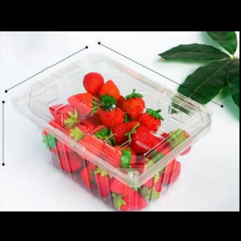 Κουτί φρούτων με καπάκι 210*155*100 mm HGF-950A