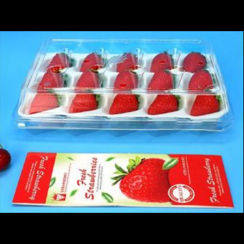Κουτί φράουλας (15 φράουλες) 225*120*40 mm cm-15
