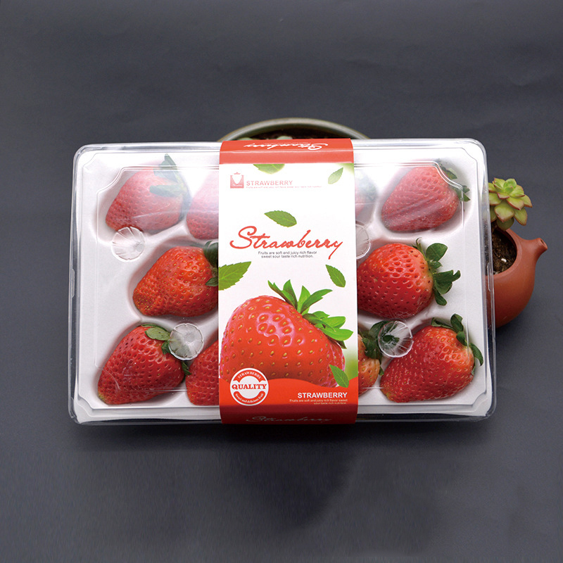 Κουτί φράουλας (11 φράουλες) 225*120*40 mm cm-11