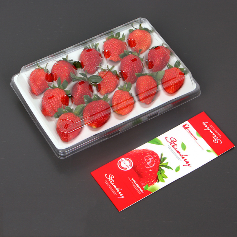 Κουτί φράουλας (15 φράουλες) 225*120*40 mm cm-15