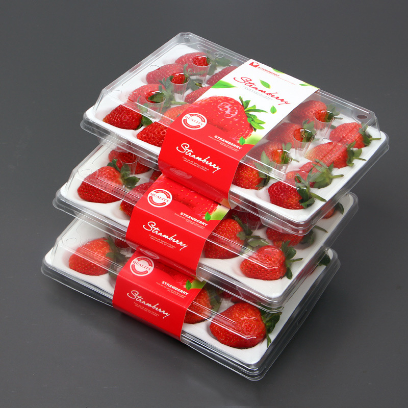 Κουτί φράουλας (20 φράουλες) 225*120*40 mm cm-20