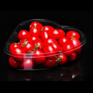 ΚΑΤΑΛΟΓΟΣ CARDIOID 185*165*50 mm HJ-1904