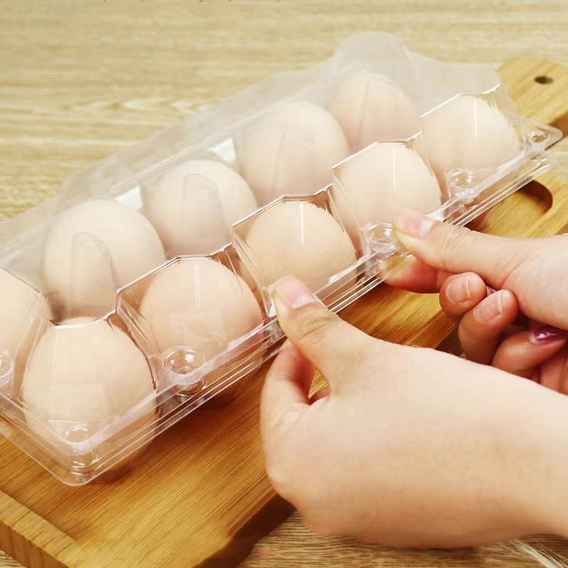 Δίσκο αυγών (μέσο) 240*100*63 mm 10 αυλακώσεις