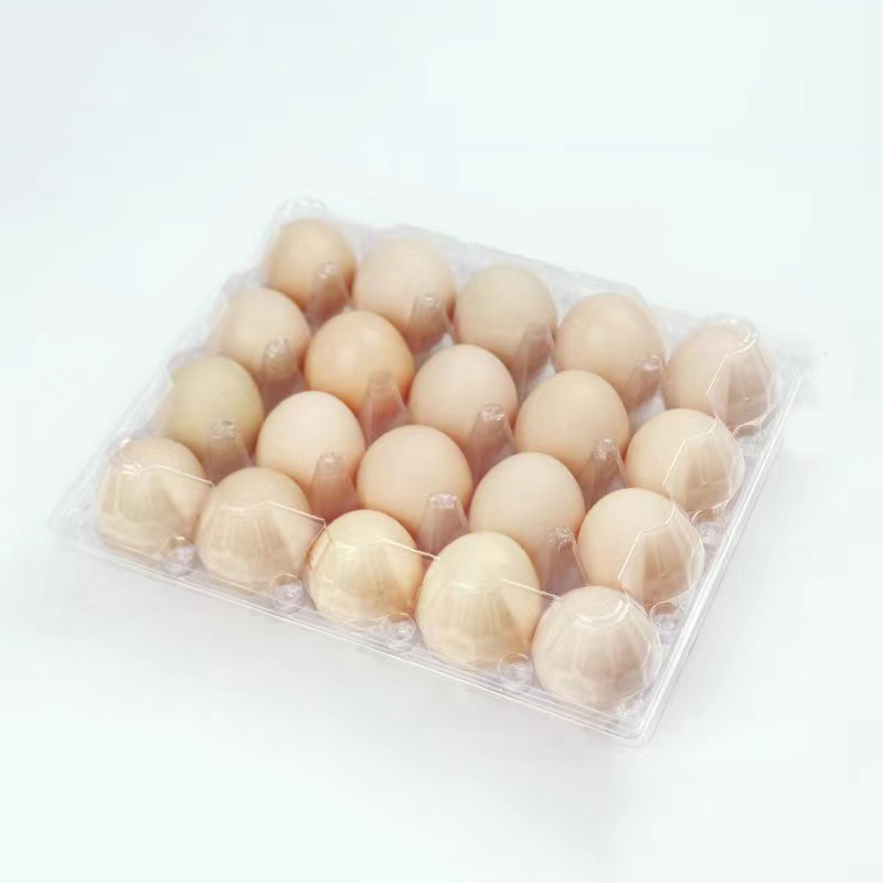Δίσκο αυγών 238*192*65 mm 20 αυλακώσεις