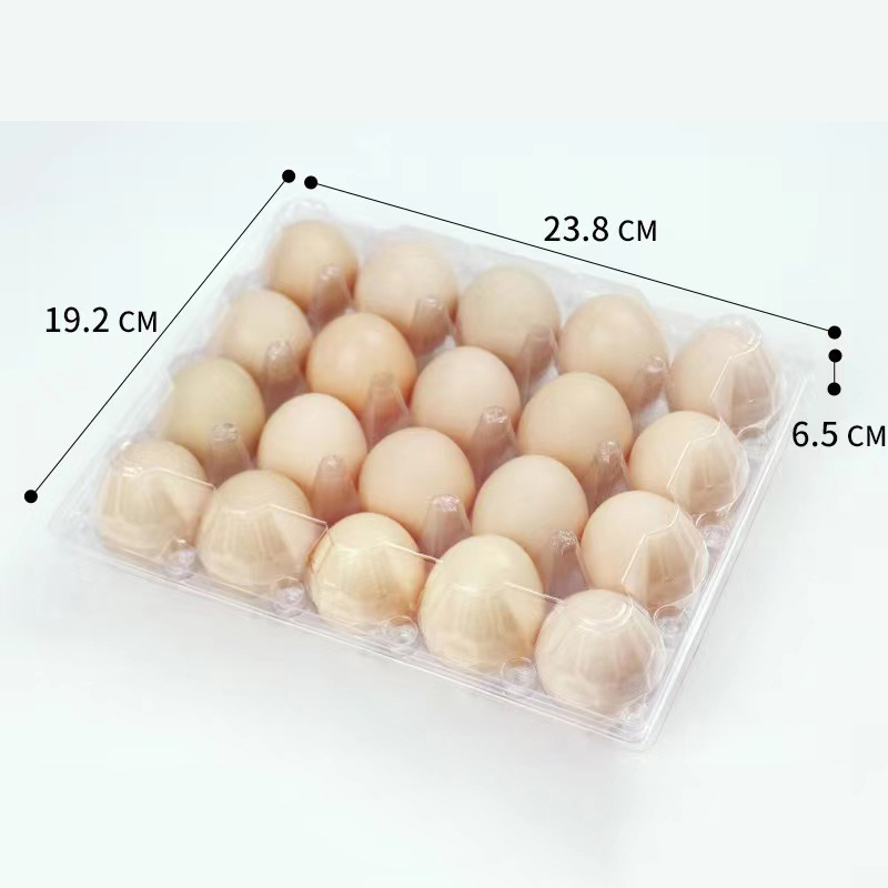 Δίσκο αυγών 238*192*65 mm 20 αυλακώσεις