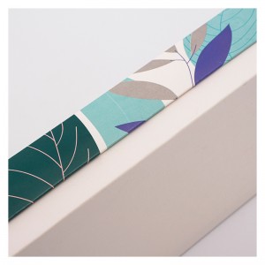 Εξαιρετικό κουτί δώρου παραθύρων