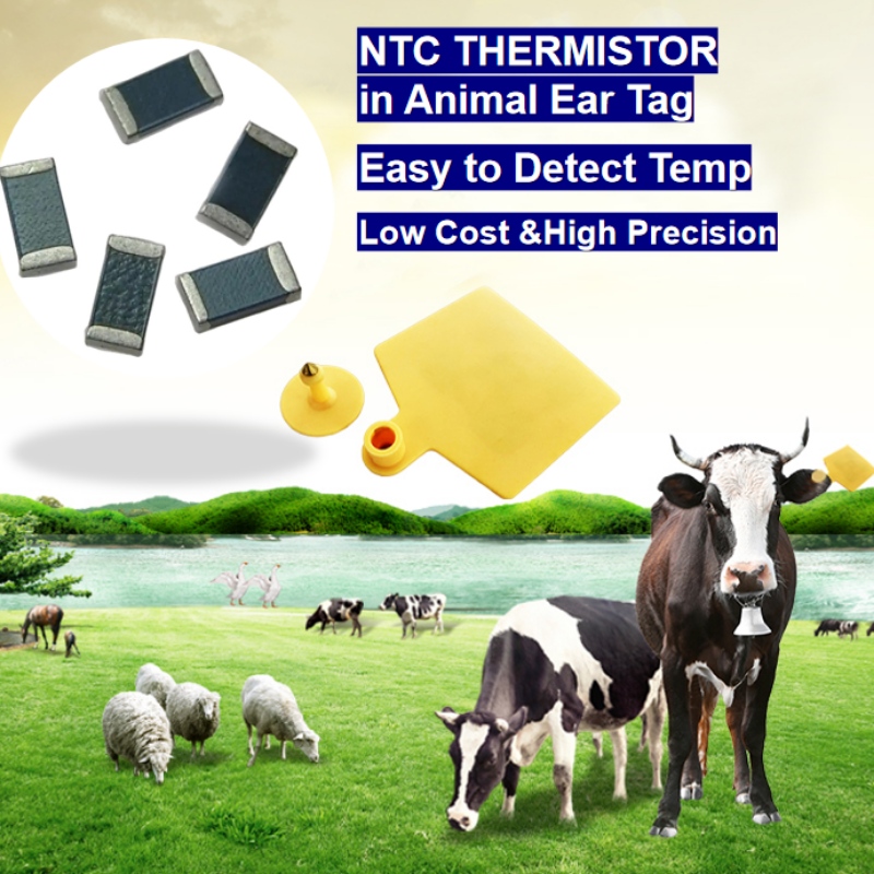 Αισθητήρας θερμοκρασίας θερμίστορ NTC σε ετικέτα ζώων ευφυής αναπαραγωγή