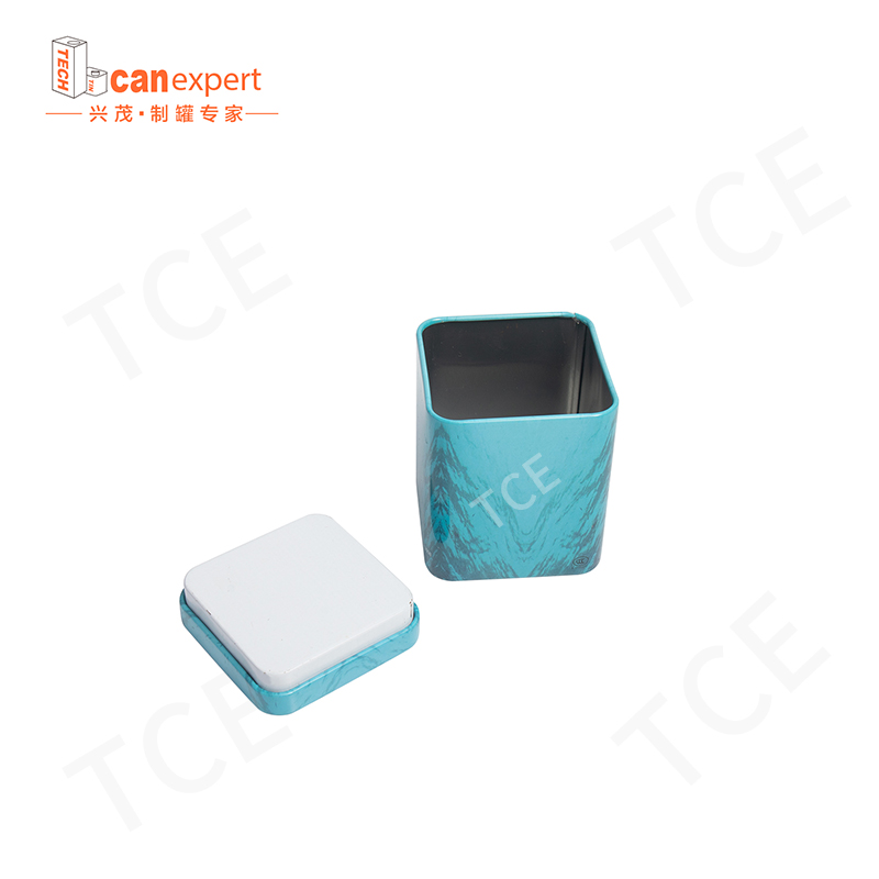 TCE-New Design Tin Gift Box Packaging Cans