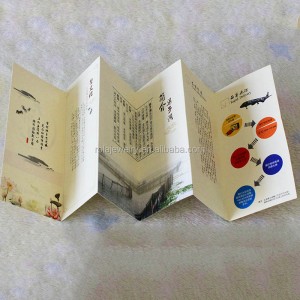 Εγχειρίδιο οδηγιών προϊόντων πτυσσόμενου οργάνου