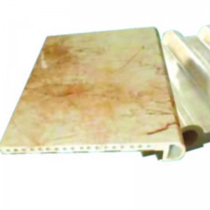 Πλαστικό μούχλα εξώθησης με μίγμα απομίμησης