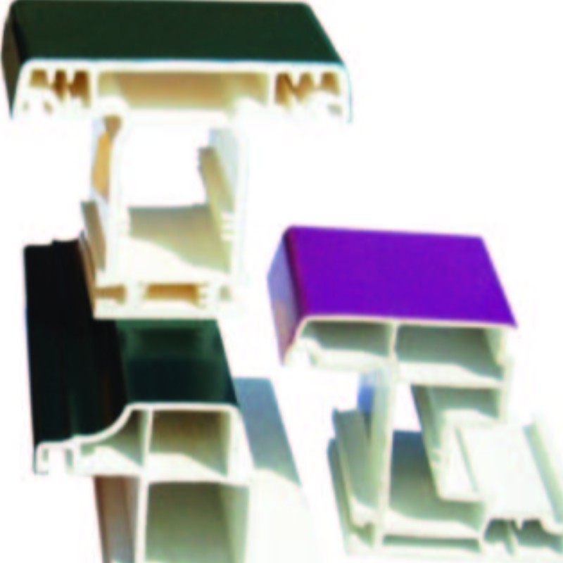 μούχλα εξώθησης με πλαστικό προφίλ