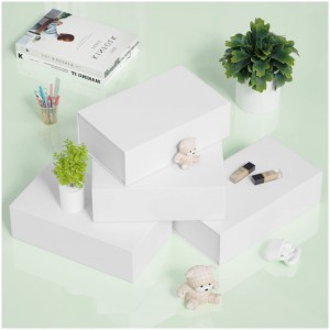 Προσαρμοσμένο κουτί δώρου χρώματος