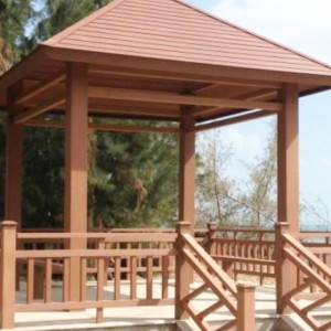 Πλαστικό μούχλα εξώθησης με PE ξύλινο από το Huangshi City