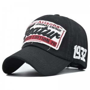 Unisex ρυθμιζόμενο βαμβάκι προσαρμοσμένο 6 πάνελ τοποθετημένο καπέλο μπέιζμπολ με λογότυπο κεντήματος