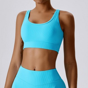 Sc10167 αθλητική σουτιέν για μεγάλες γυναίκες μαστού σορτς γιόγκα κορίτσι Κίνα απρόσκοπτη επένδυση αθλητική γυμναστική γυμναστική ...