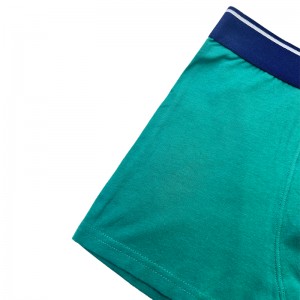 Χονδρική συν το μέγεθος άντρες εσώρουχα πολυεστέρα Απόκριες άνδρες άνδρες μπόξερ μπόξερ σεζόν προσαρμοσμένο λογότυπο άνδρες εσ...