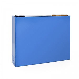 GOTION 3.2V 50A LIFEPO4 Prismatic Cell Solar Storage Systems Recharge Battery Lithium