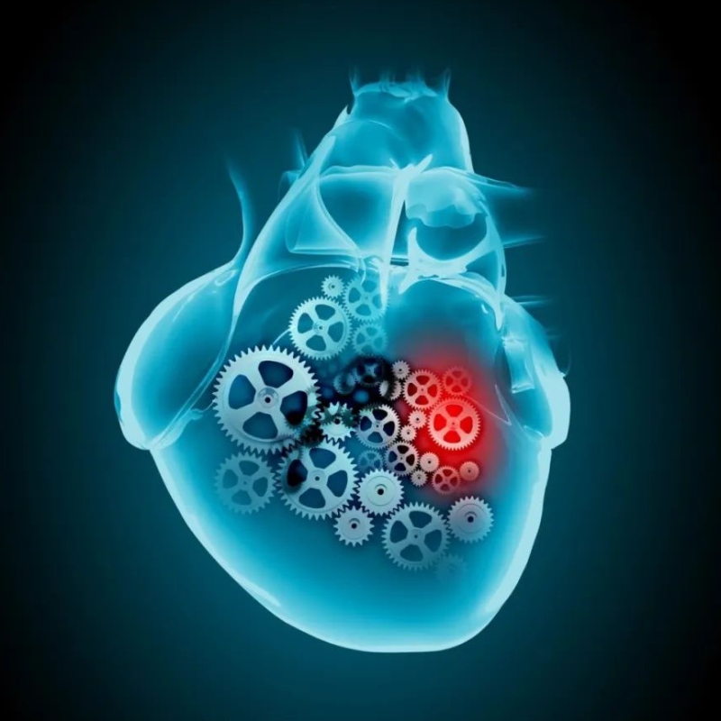 Η πρόοδος της έρευνας του NAD+στη θεραπεία καρδιαγγειακών παθήσεων